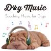 Download track Soft Music For Pets While You're Away