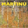 Download track 1. Violin Concerto No. 1 - I. Allegro Moderato