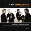 Download track 8. Variation 7