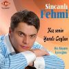 Download track İlvanlım