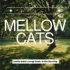 Download track Embrace Of Warm Light