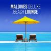 Download track Another Day In Paradise (Chilled Instrumental)