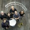 Download track Piano Concerto In E-Flat Major, WoO 4: I. Allegro Moderato (Arr. For Piano And Wind Quintet)