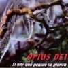 Download track Opius Dei - 06 Grounge