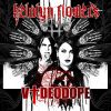 Download track Videodope