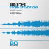 Download track Storm Of Emotions