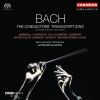 Download track 14. Präludium (Fantasie) Und Fuge G-Moll II. Fuge (BWV 542)