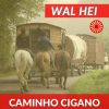 Download track Todo Amor
