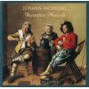 Download track Sonata Allegro