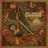 Download track Transgressor