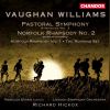Download track Symphony No. 3 'Pastoral' - III. Moderato Pesante - Poco Animato - A Tempo -...