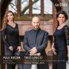 Download track String Trio In D Minor, Op. 141b: II. Andante Molto Sostenuto Con Variazioni'