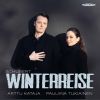 Download track Winterreise, Op. 89, D. 911: No. 5, Der Lindenbaum