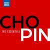Download track Cello Sonata In G Minor, Op. 65, B. 160 III. Largo