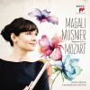 Download track 06 Flute Concerto No. 2 In D Major, K. 314 II. Adagio Ma Non Troppo