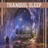 Download track Natural Sleep Aid