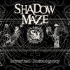 Download track A Divine Image