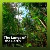 Download track 1 Hour Of Soft Water Streams, Pt. 2