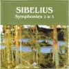 Download track Symphony No. 2 In D Major - 4. Finale. Allegro Moderato