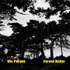 Download track The Shape Stalks Again