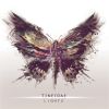 Download track Paper Birds