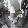 Download track Cornucopia (... Or Satan, Uh... Something)