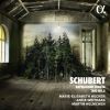 Download track Piano Trio No. 2 In E-Flat Major, Op. 100, D. 929: I. Allegro