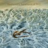 Download track 03. Sonata No. 8 For Violin And Piano In G Major, Op. 30 No. 3 III. Allegro Vivace