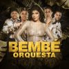 Download track Me Cansé De Ser La Otra
