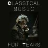 Download track Variations On An Original Theme, Op. 36 