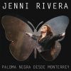 Download track Platino Y Oro (En Vivo Desde Monterrey Nuevo León / 2012)