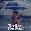 Download track 30 Beautiful Raining Sounds, Pt. 25
