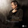 Download track Theme And Variations In E-Flat Major, WoO 24, Geistervariationen IV. Variation III - Etwas Belebter