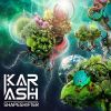 Download track Shapeshifter