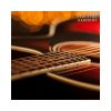 Download track Instrumental Guitar Music