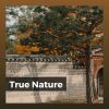 Download track 1 Hour Of Night Time Nature Sounds, Pt. 8