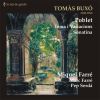 Download track Poblet: I. Evocació
