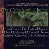 Download track The Wishing Tree