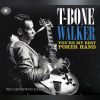 Download track Two Bones And A Pick