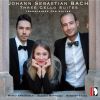 Download track Cello Suite No. 2 In D Minor, BWV 1008 (Transcr. For Guitar By Alessia Mattiazzi): III. Courante