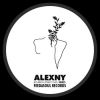 Download track Decaf For Nina (Original Mix)