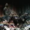 Download track Human Extinction