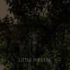 Download track All Imperfect Things