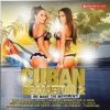 Download track Se Baila Pegao