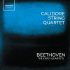 Download track Beethoven: String Quartet No. 4 In C Minor, Op. 18 No. 4: III. Menuetto. Allegro