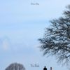 Download track Go For A Walk