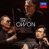 Download track 10. Piano Trio In A Minor, Op. 50, TH. 117- Var. VIII- Fuga (Allegro Moderato)