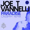 Download track Paradise (CASSIMM Radio Edit Remix)