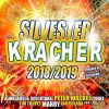 Download track Dieses Leben Ist Geil