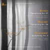 Download track Symphony No. 3 In D Major, D. 200: I. Adagio Maestoso – Allegro Con Brio